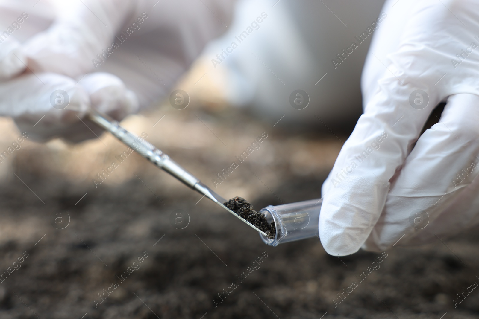 Scientist taking soil sample for research outdoors, closeup Photo of Scientist taking soil sample for research outdoors, closeup