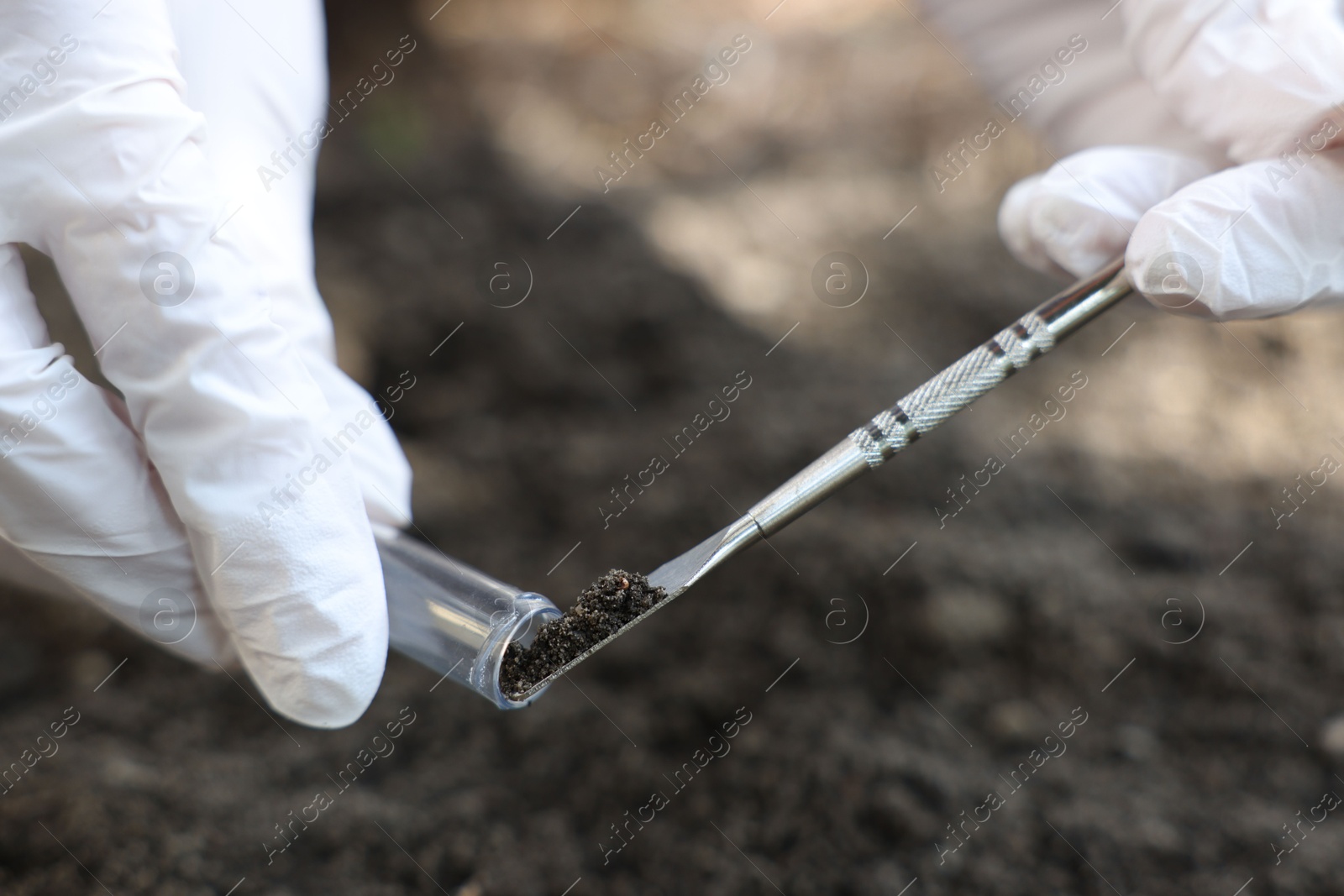 Scientist taking soil sample for research outdoors, closeup Photo of Scientist taking soil sample for research outdoors, closeup