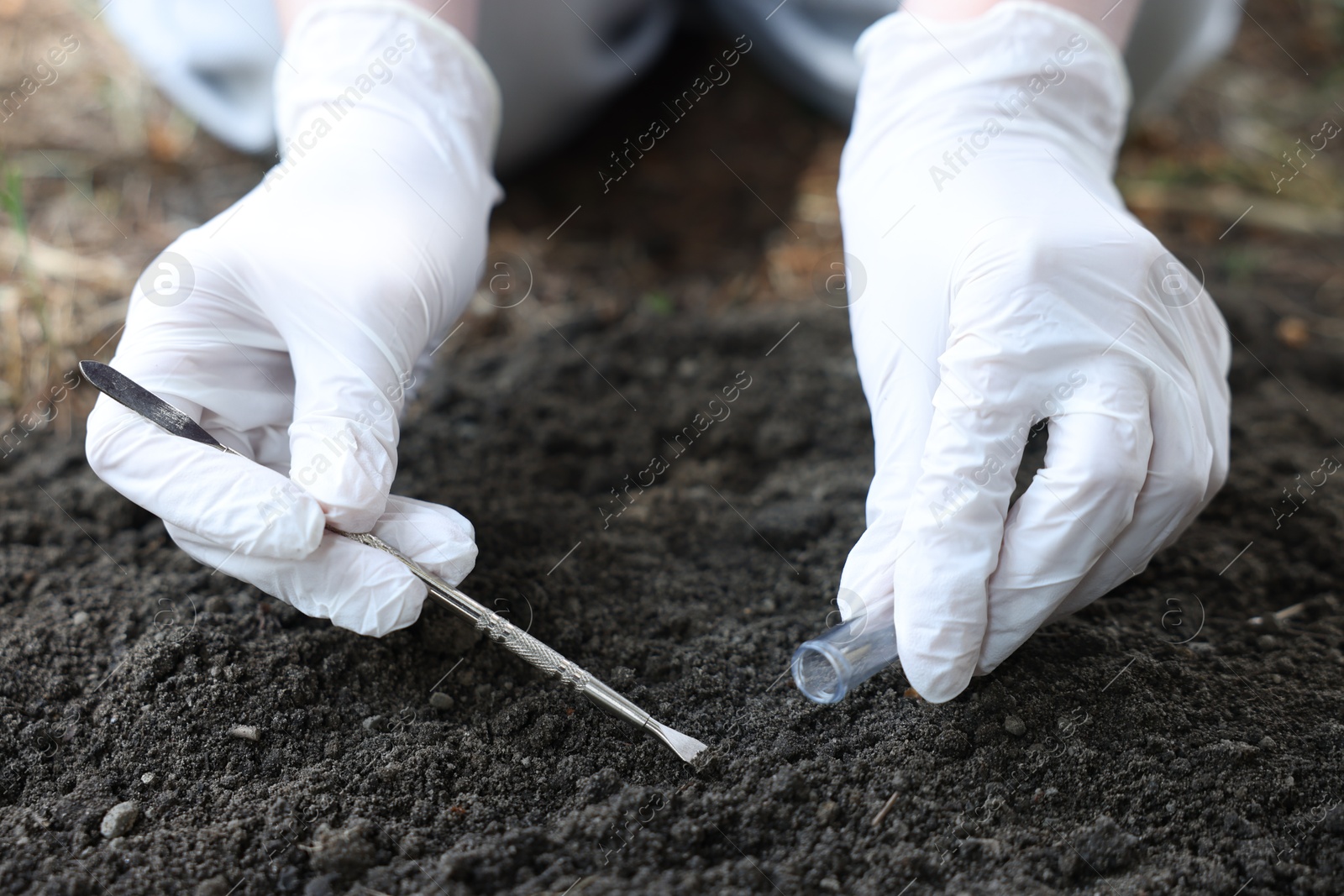 Scientist taking soil sample for research outdoors, closeup Photo of Scientist taking soil sample for research outdoors, closeup