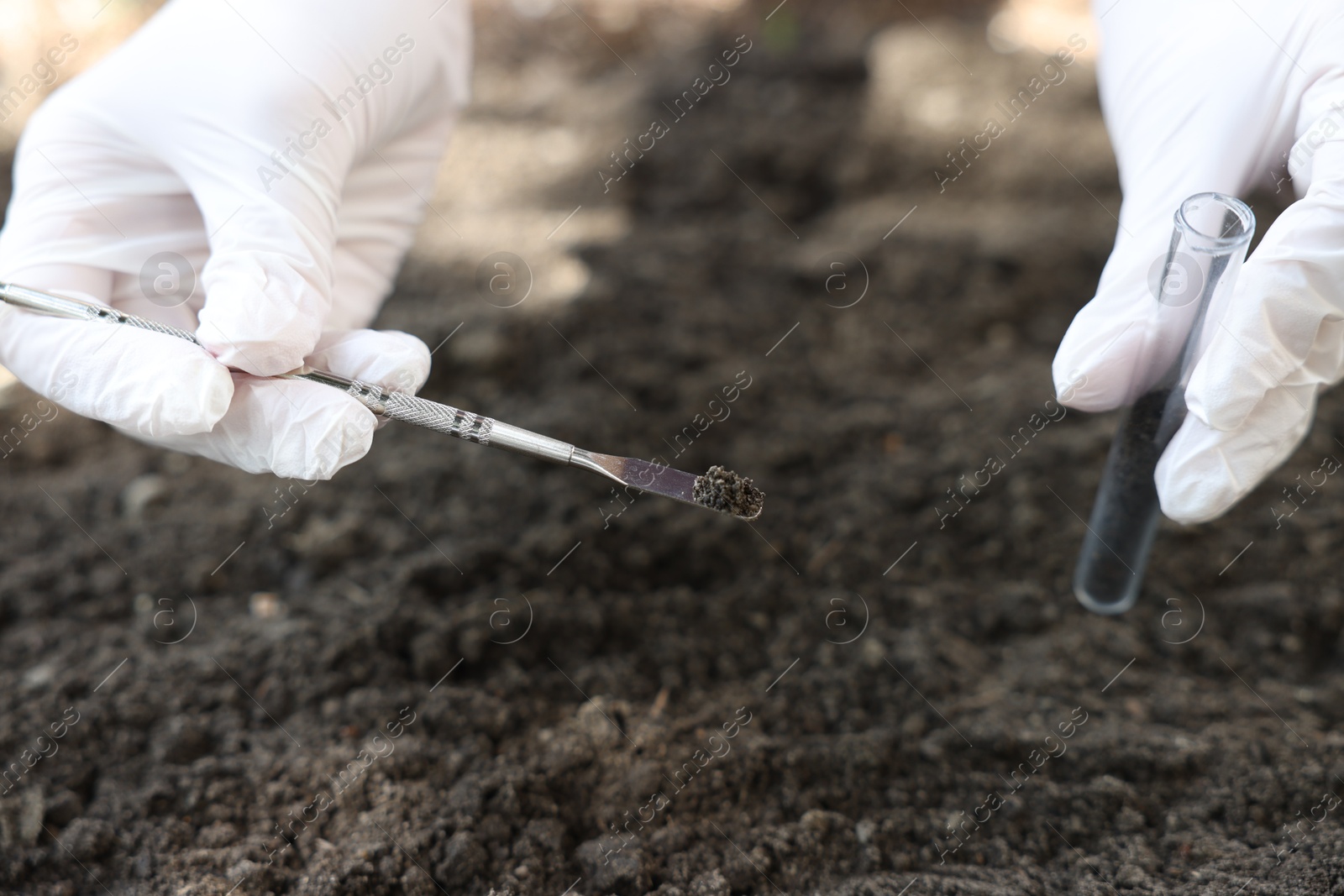 Scientist taking soil sample for research outdoors, closeup Photo of Scientist taking soil sample for research outdoors, closeup