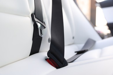 Photo of Safety belt and seats inside of modern car, closeup