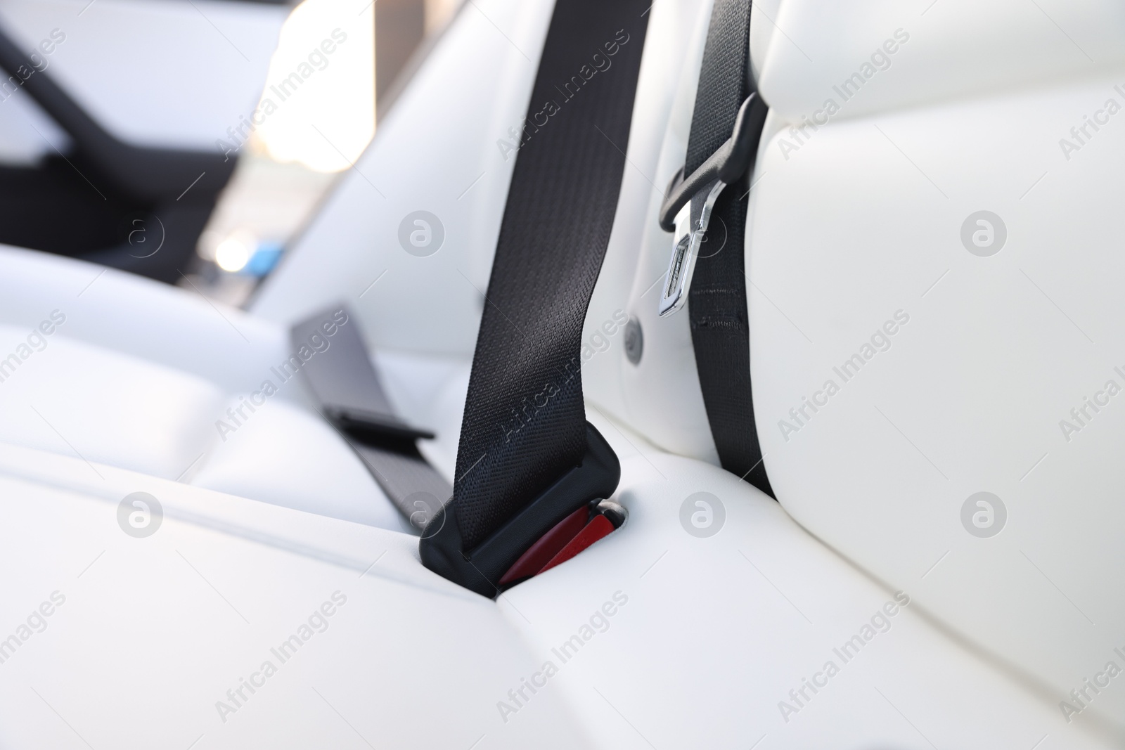 Safety belt and seats inside of modern car, closeup Photo of Safety belt and seats inside of modern car, closeup