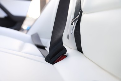 Photo of Safety belt and seats inside of modern car, closeup