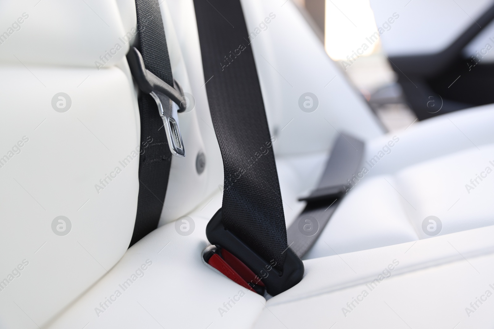 Safety belt and seats inside of modern car, closeup Photo of Safety belt and seats inside of modern car, closeup