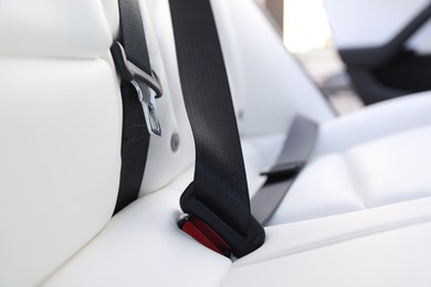 Photo of Safety belt and seats inside of modern car, closeup