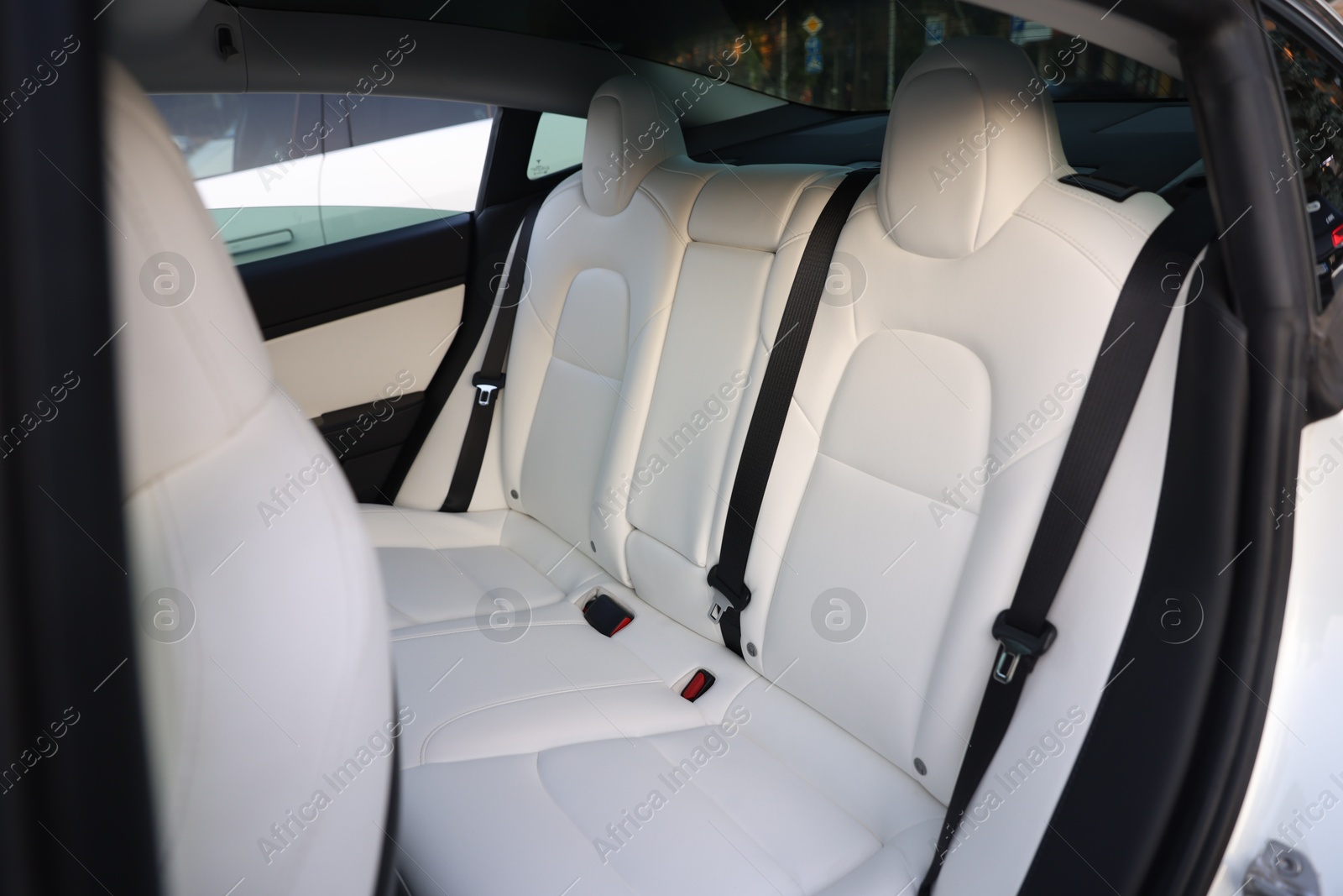 Modern car interior with seats and safety belts, view from outside Photo of Modern car interior with seats and safety belts, view from outside