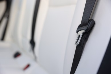 Photo of Safety belt and seats inside of modern car, closeup. Space for text
