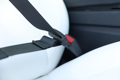 Photo of Safety belt and seat inside of modern car, closeup