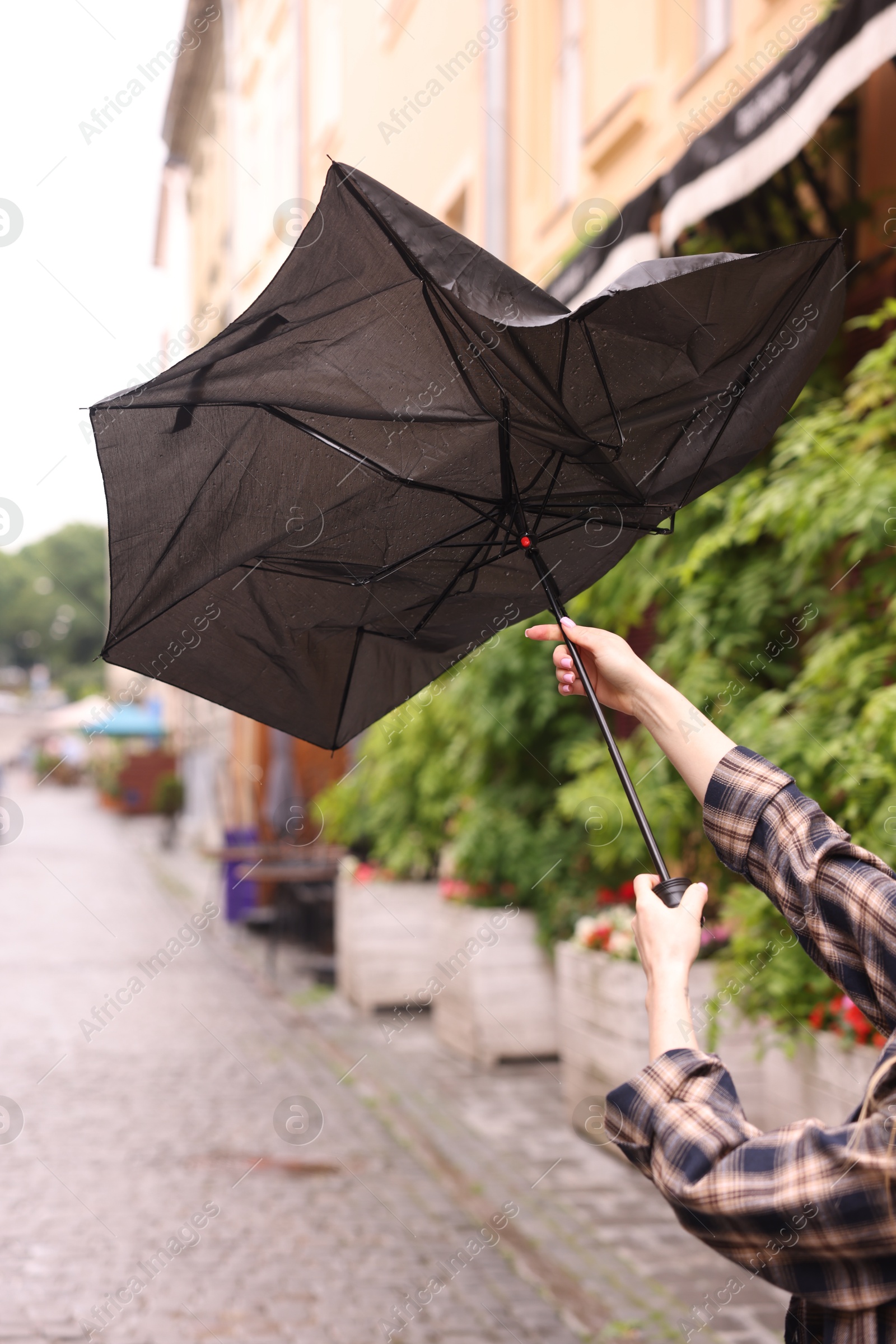 Woman with broken umbrella on city street, closeup Photo of Woman with broken umbrella on city street, closeup