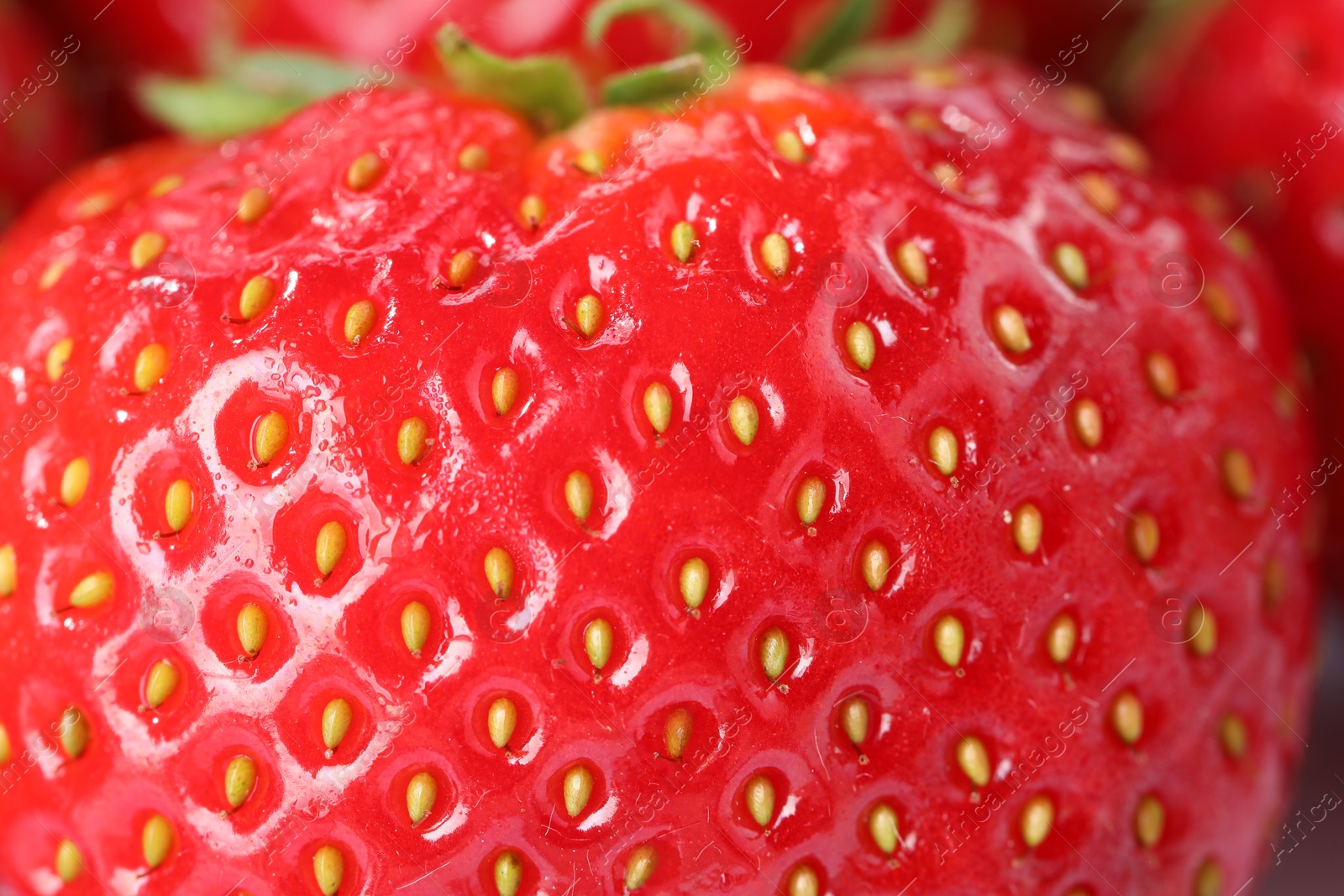 Photo of Fresh ripe strawberry as background, macro view