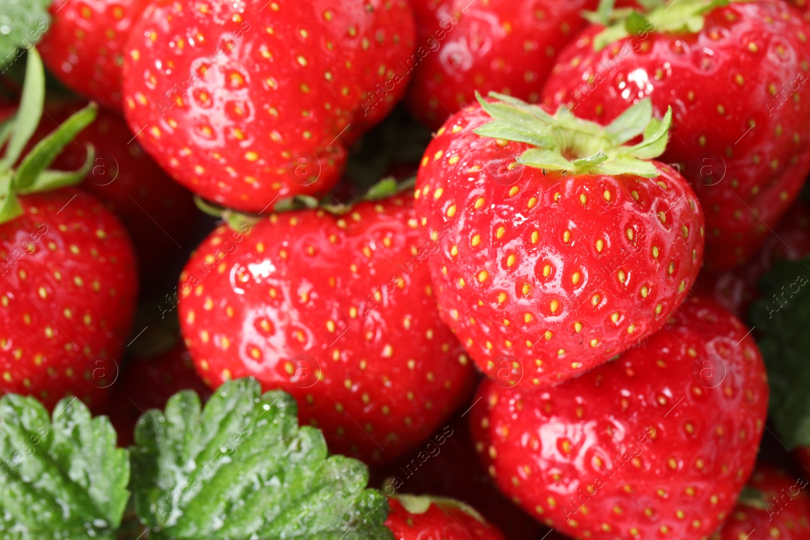 Photo of Fresh ripe strawberries as background, closeup view