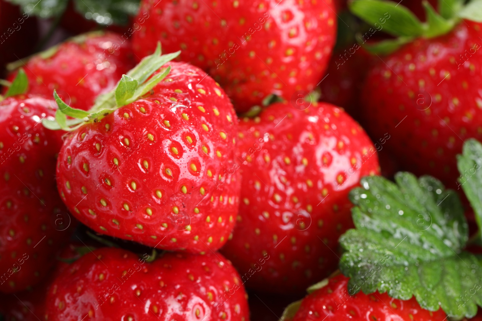 Photo of Fresh ripe strawberries as background, closeup view