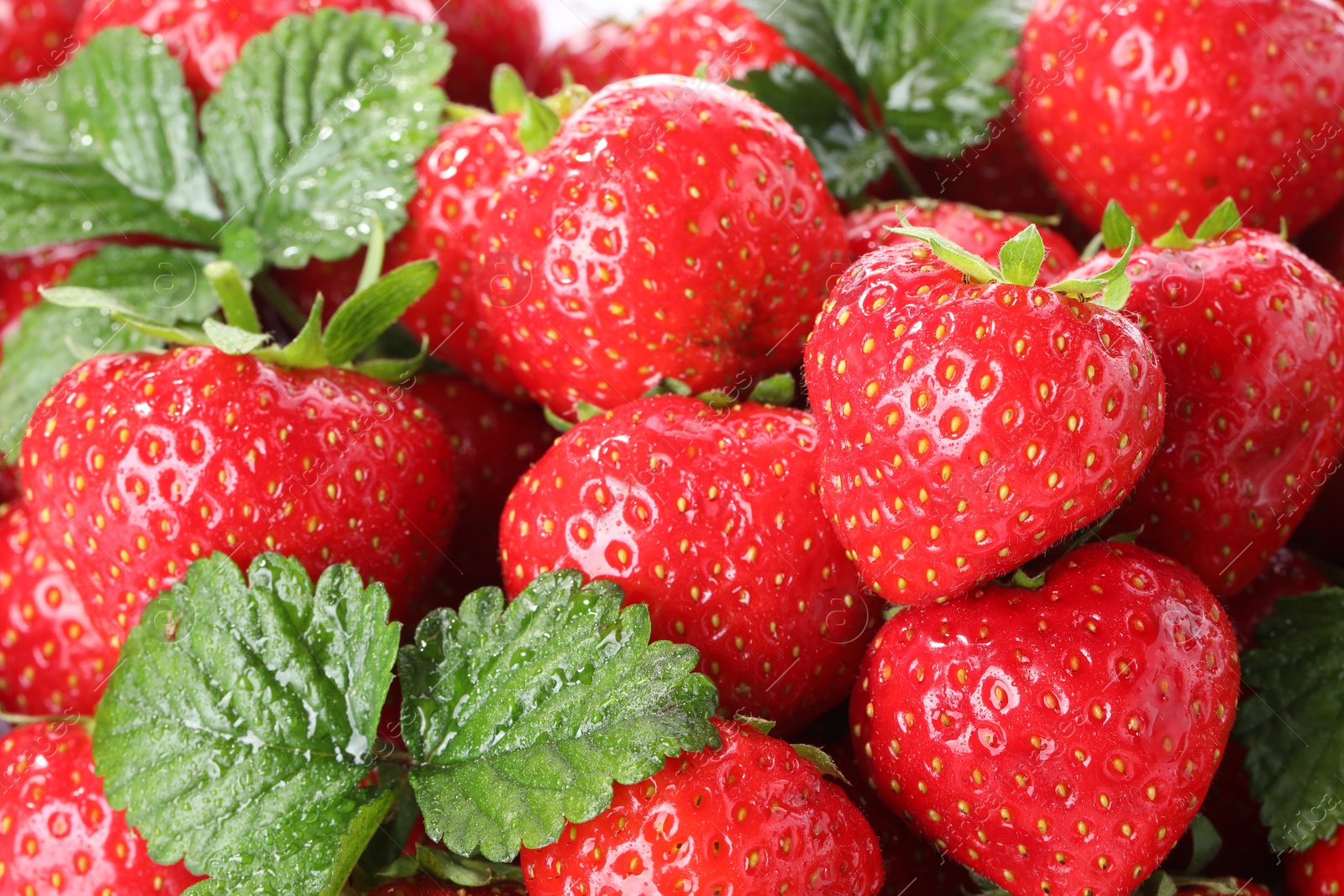 Fresh ripe strawberries and green leaves as background, closeup Photo of Fresh ripe strawberries and green leaves as background, closeup