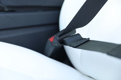 Photo of Safety belt and seat inside of modern car, closeup