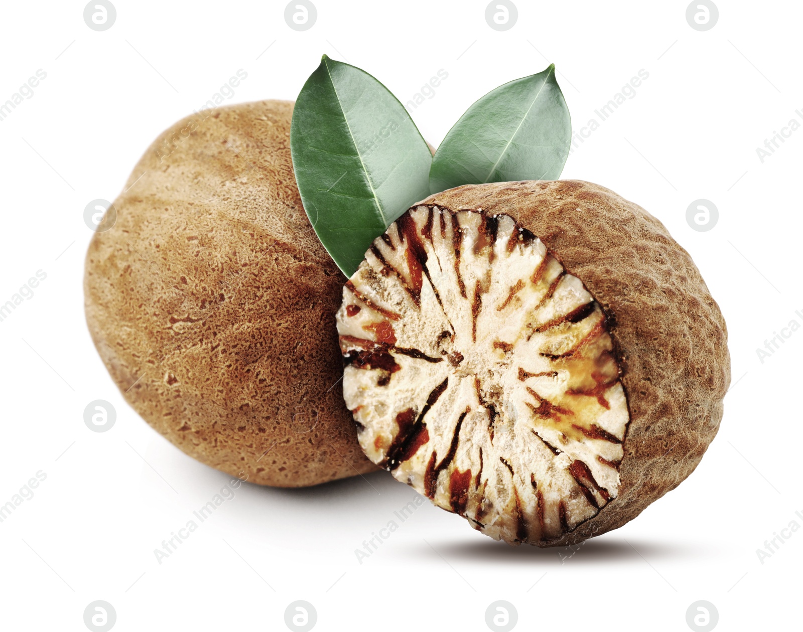 Nutmeg seeds with green leaves on white background. Aromatic spice Image of Nutmeg seeds with green leaves on white background. Aromatic spice