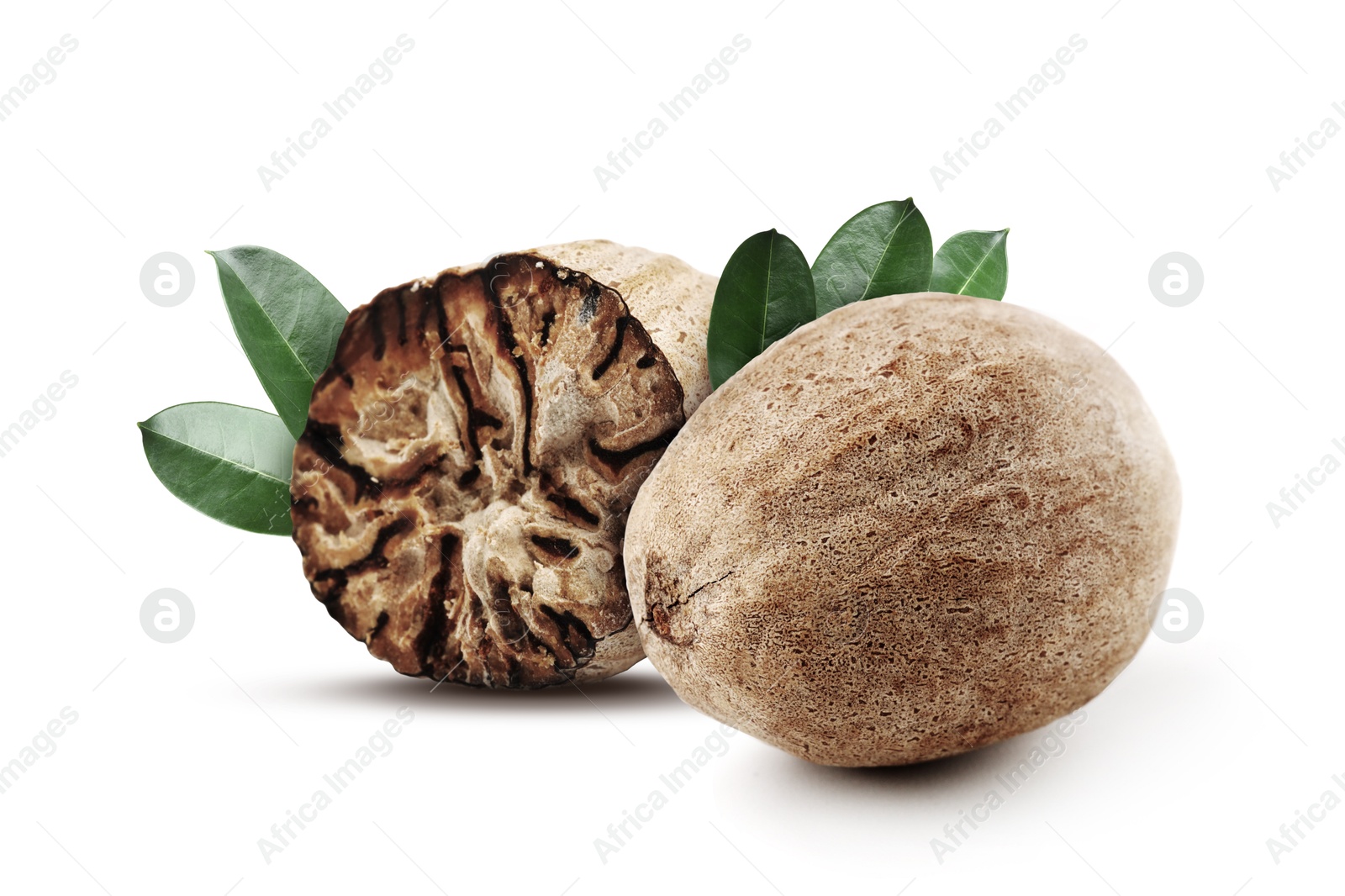 Nutmeg seeds with green leaves on white background. Aromatic spice Image of Nutmeg seeds with green leaves on white background. Aromatic spice
