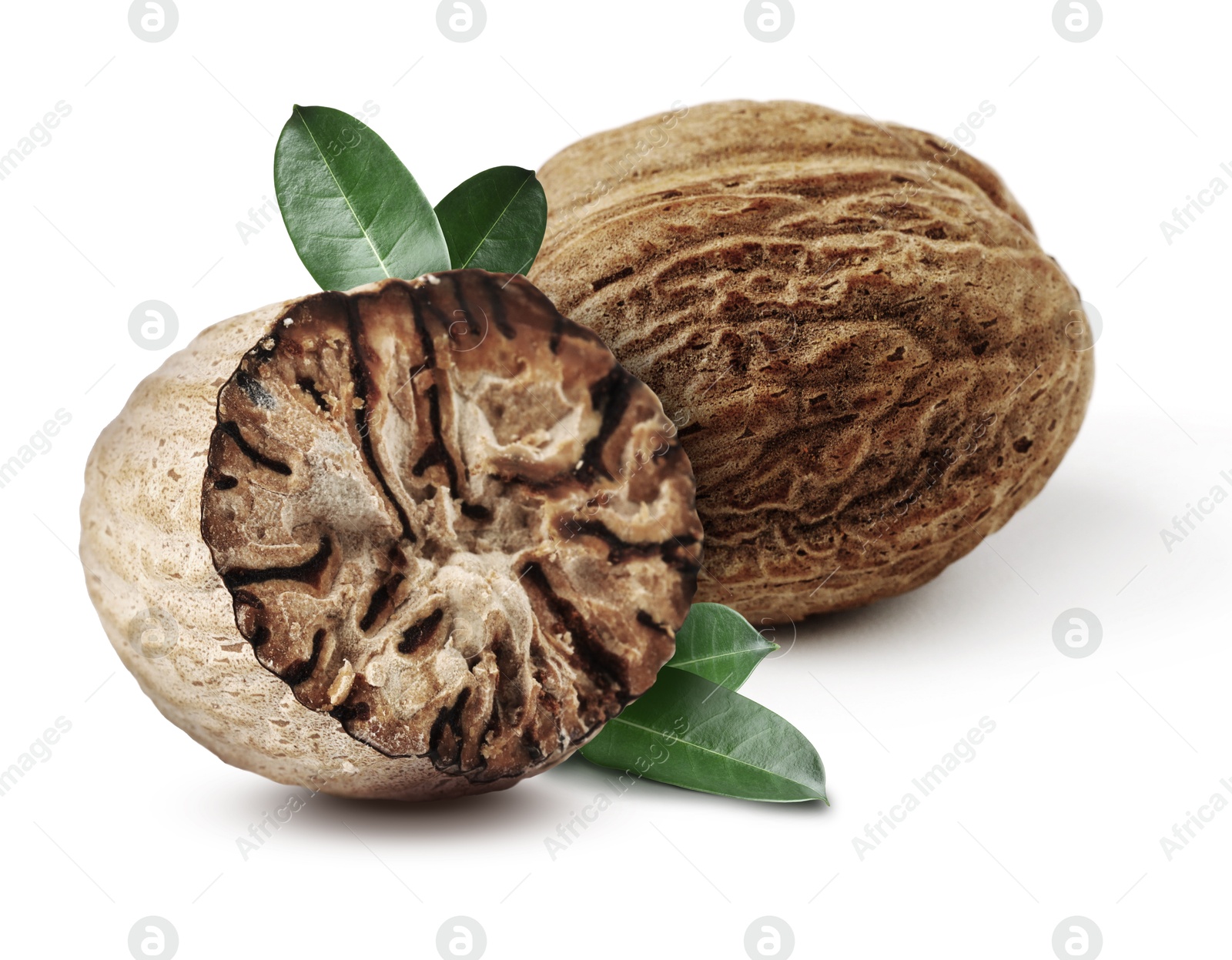 Nutmeg seeds with green leaves on white background. Aromatic spice Image of Nutmeg seeds with green leaves on white background. Aromatic spice