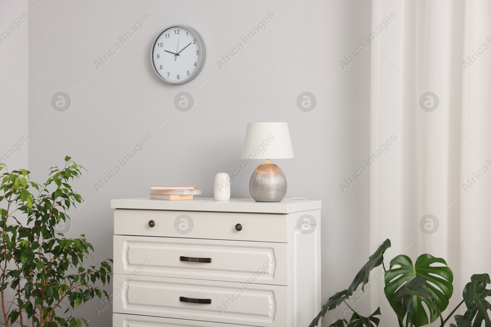 Different decor on white chest of drawers and houseplants indoors Photo of Different decor on white chest of drawers and houseplants indoors