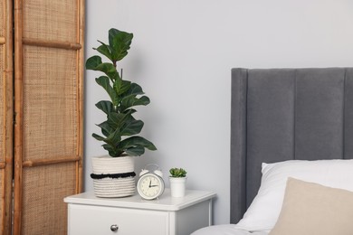 Photo of Green houseplants on white bedside table and bed indoors