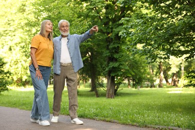Photo of Lovely senior couple walking together in park, space for text