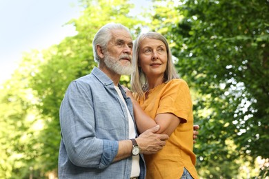 Photo of Lovely senior couple walking together in park, low angle view