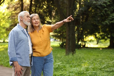 Photo of Lovely senior couple walking together in park, space for text