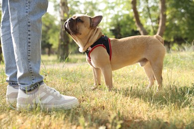 Photo of Man with his cute French bulldog in park, closeup