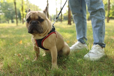 Photo of Man with his cute French bulldog in park, closeup