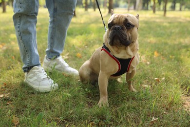 Photo of Man with his cute French bulldog in park, closeup