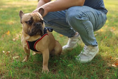 Photo of Man with his cute French bulldog in park, closeup