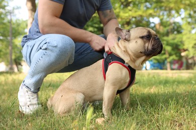 Photo of Man with his cute French bulldog in park, closeup