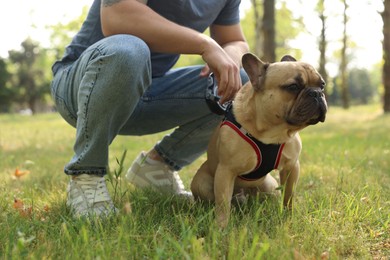 Photo of Man with his cute French bulldog in park, closeup