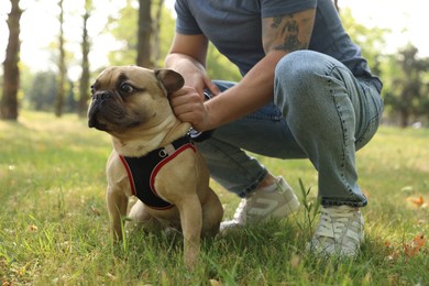 Photo of Man with his cute French bulldog in park, closeup