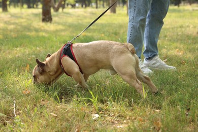 Photo of Man with his cute French bulldog in park, closeup