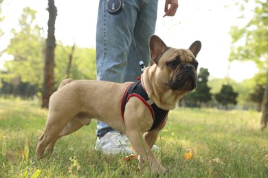 Photo of Man with his cute French bulldog in park, closeup