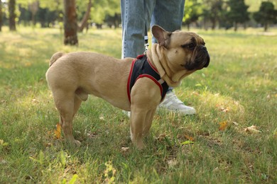 Photo of Man with his cute French bulldog in park, closeup