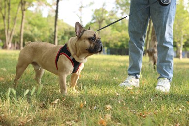 Photo of Man with his cute French bulldog in park, closeup