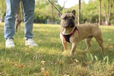 Photo of Man with his cute French bulldog in park, closeup