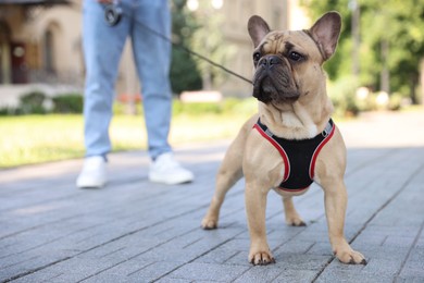 Photo of Man with his cute French bulldog in park, closeup