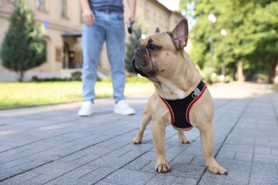 Photo of Man with his cute French bulldog in park, closeup