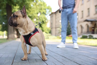 Photo of Man with his cute French bulldog in park, closeup