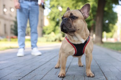 Photo of Man with his cute French bulldog in park, closeup