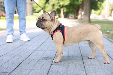 Photo of Man with his cute French bulldog in park, closeup