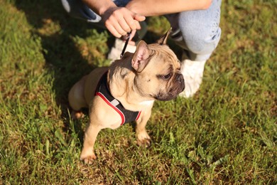 Photo of Man with his cute French bulldog in park, closeup