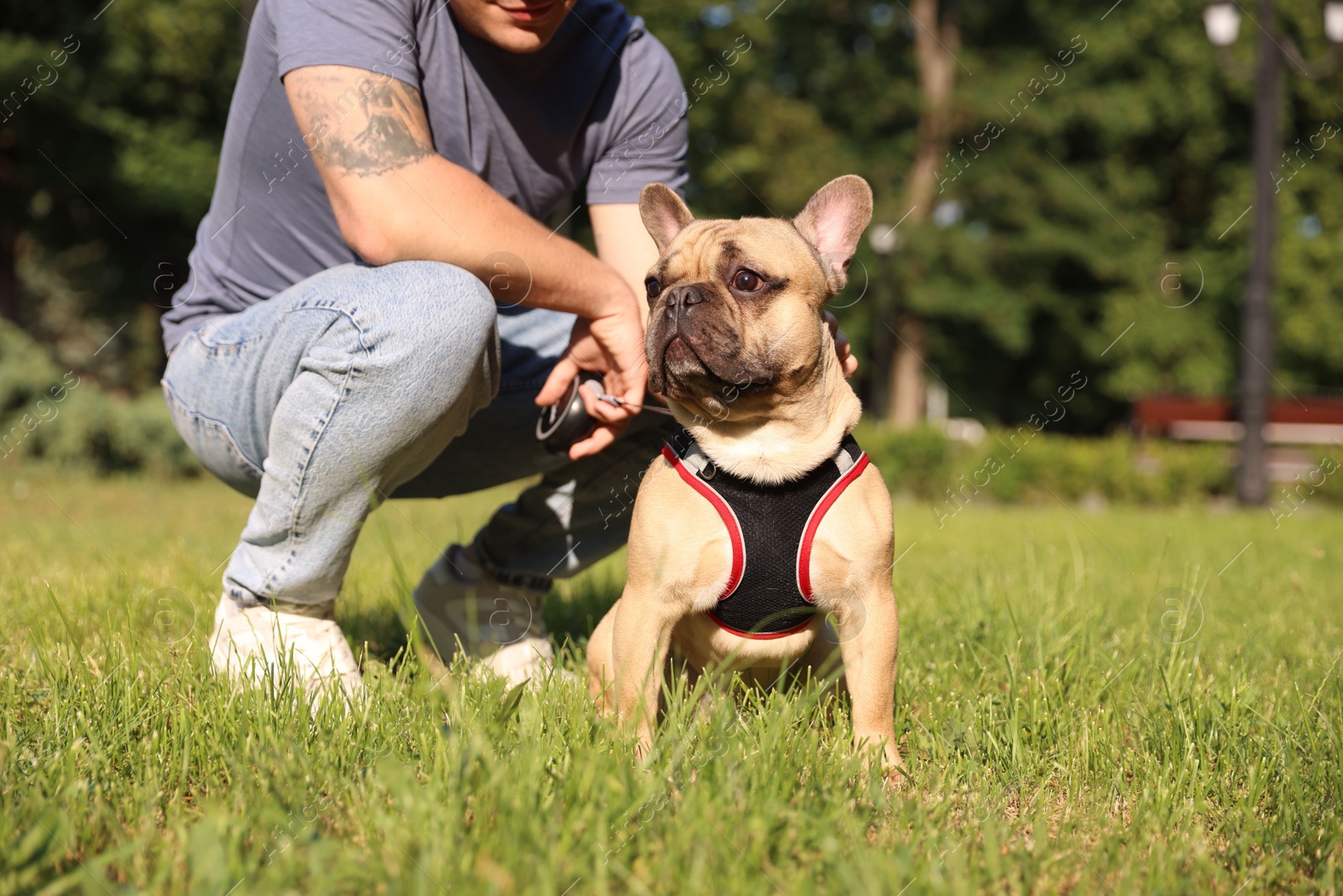 Man with his cute French bulldog in park, closeup Photo of Man with his cute French bulldog in park, closeup