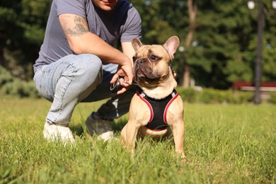 Photo of Man with his cute French bulldog in park, closeup