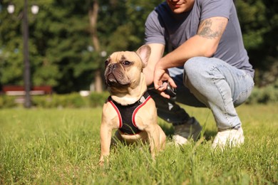 Photo of Man with his cute French bulldog in park, closeup