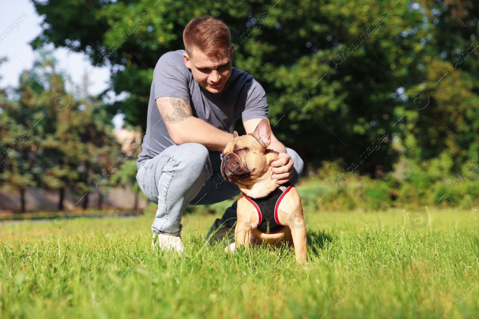 Happy man with his cute French bulldog in park Photo of Happy man with his cute French bulldog in park