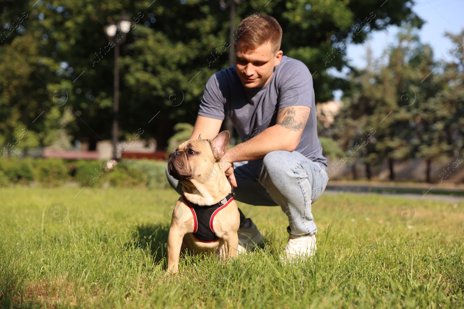 Happy man with his cute French bulldog in park Photo of Happy man with his cute French bulldog in park