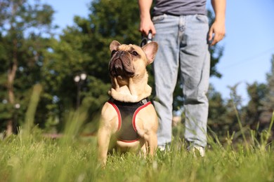 Photo of Man with his cute French bulldog in park, closeup